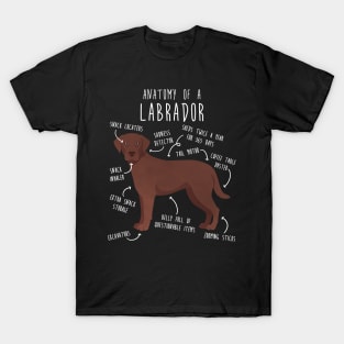 Chocolate Labrador Retriever Dog Anatomy T-Shirt